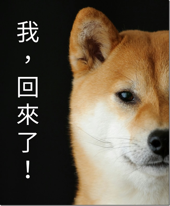 shiba_20160328041752