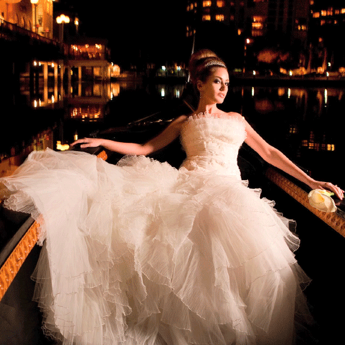 Plotagraph_Weddingdress_500x500