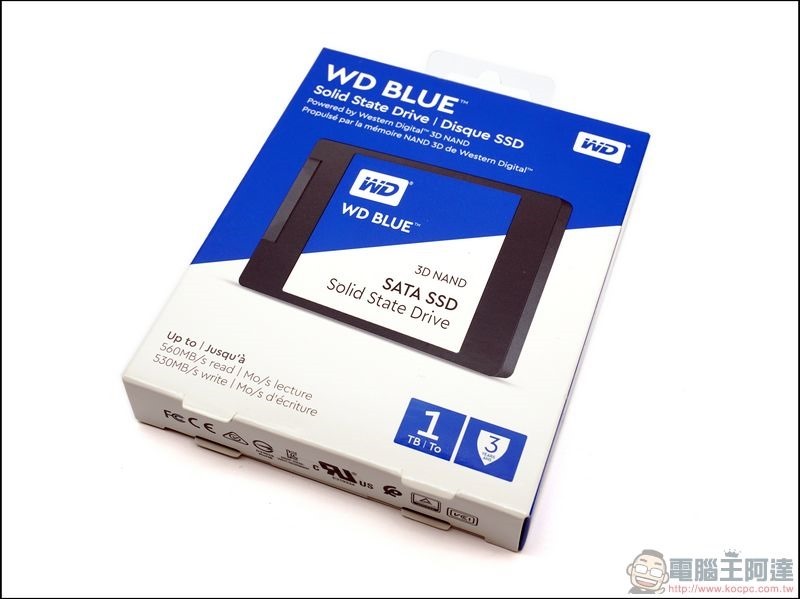 WD BLUE 3D NAND SSD WDS100T2B0A -23