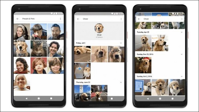 Google Photo 面部辨識進化，毛小孩也認得出來 - 電腦王阿達