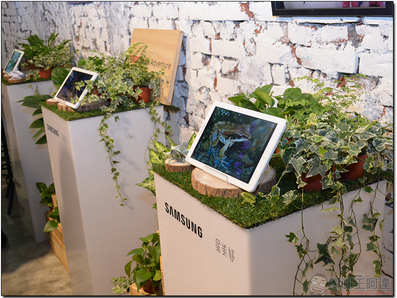 Samsung 攜手 TEDxTaipei 展示「 聽蛙講。跟蛙走 」，打造台灣在地教育 - 電腦王阿達