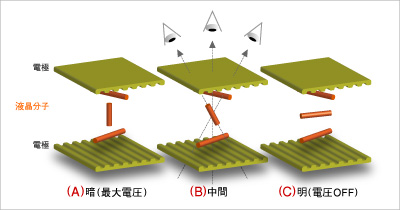 顯示器 小知識 - 什麼是 TN、VA、IPS? - 電腦王阿達