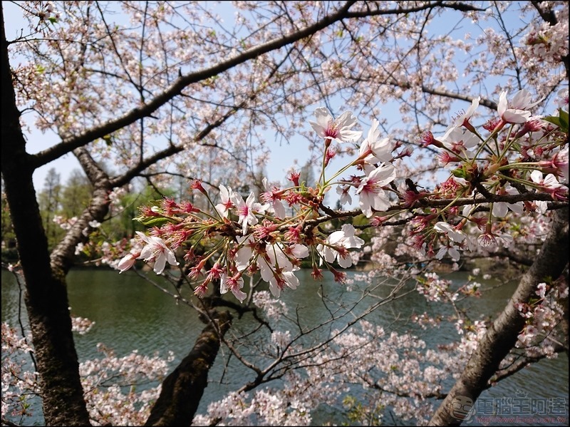 nEO_IMG_井之頭公園 (3)