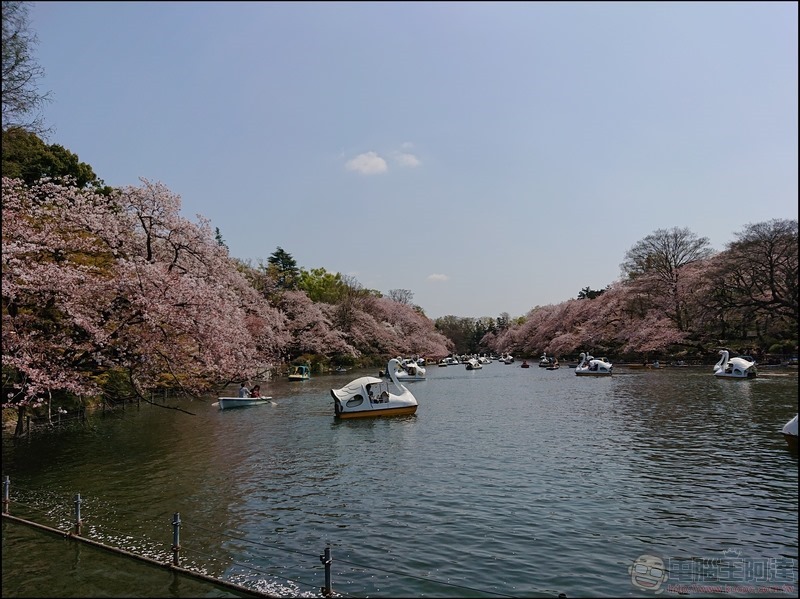 nEO_IMG_井之頭公園 (5)