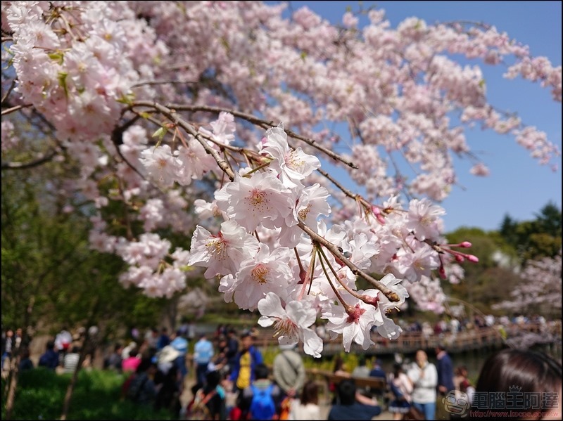 nEO_IMG_井之頭公園 (10)