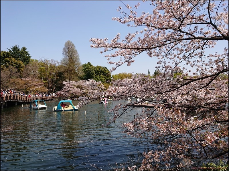 nEO_IMG_井之頭公園 (14)