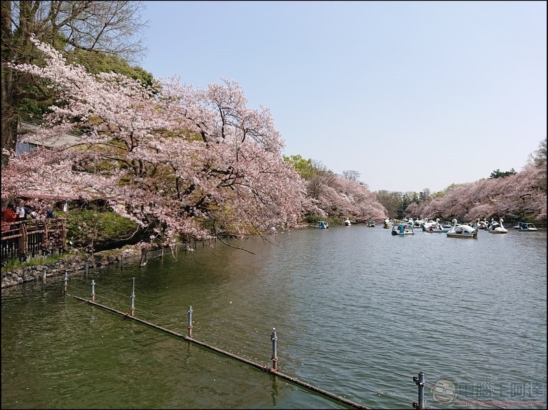 nEO_IMG_井之頭公園 (15)