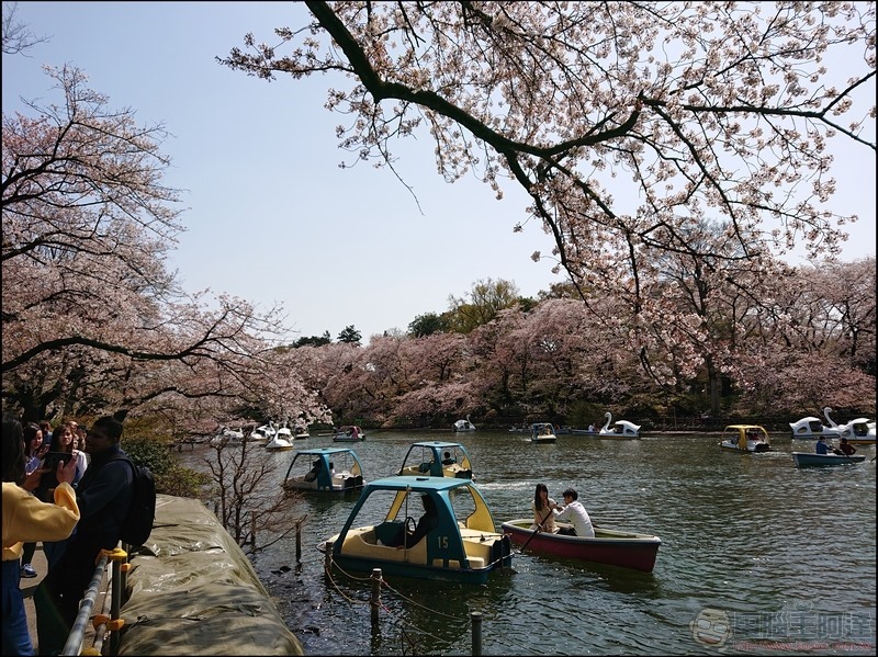 nEO_IMG_井之頭公園 (16)