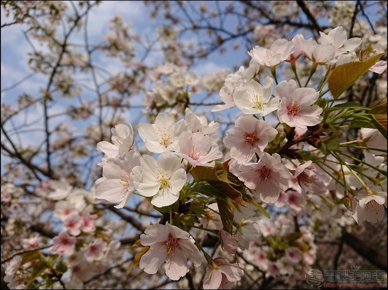 nEO_IMG_代代木公園 (5)