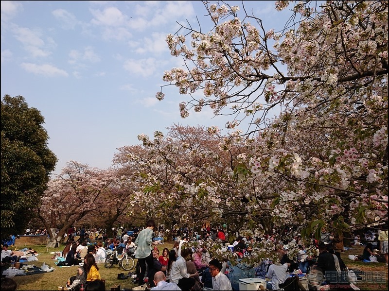 nEO_IMG_代代木公園 (6)