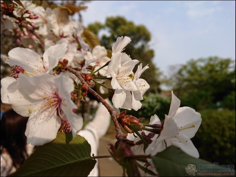 nEO_IMG_代代木公園 (7)