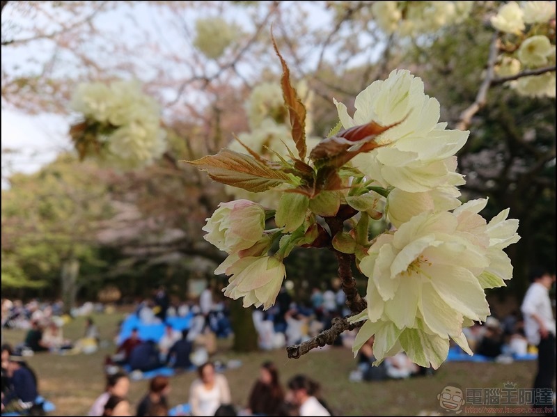 nEO_IMG_代代木公園 (9)