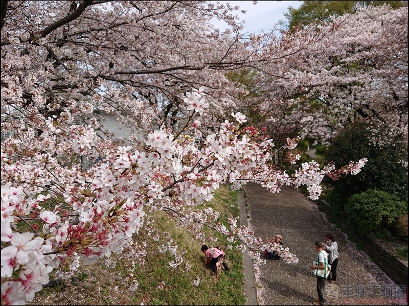 nEO_IMG_根川綠道 (4)