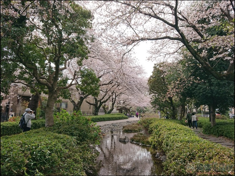 nEO_IMG_根川綠道 (7)