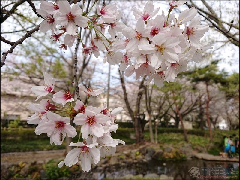 nEO_IMG_根川綠道 (10)