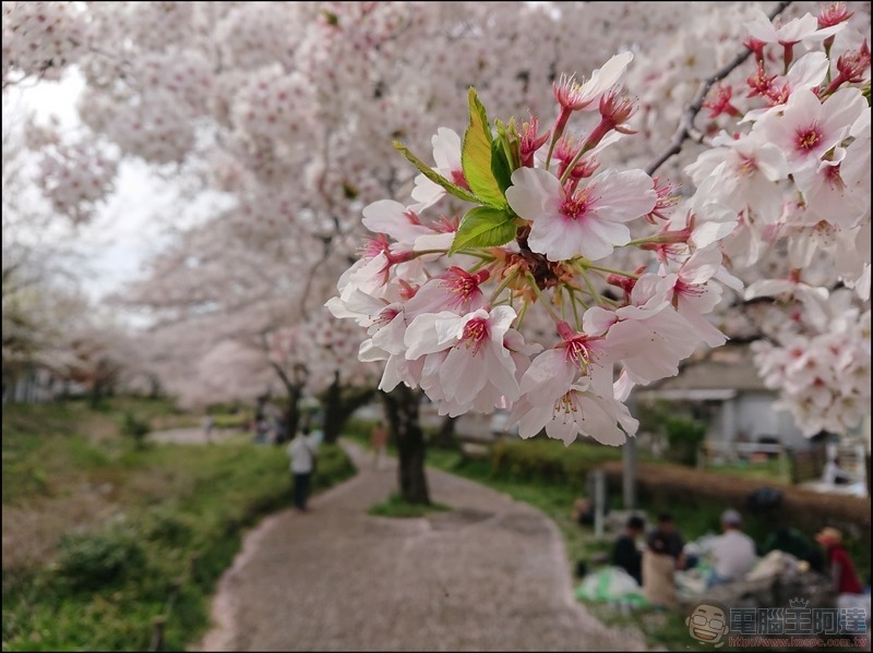 nEO_IMG_根川綠道 (12)