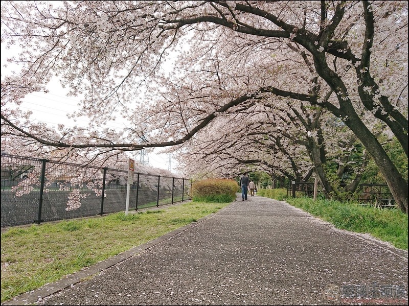 nEO_IMG_根川綠道 (18)