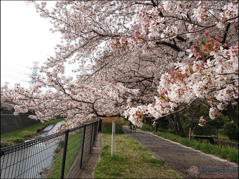 nEO_IMG_根川綠道 (19)