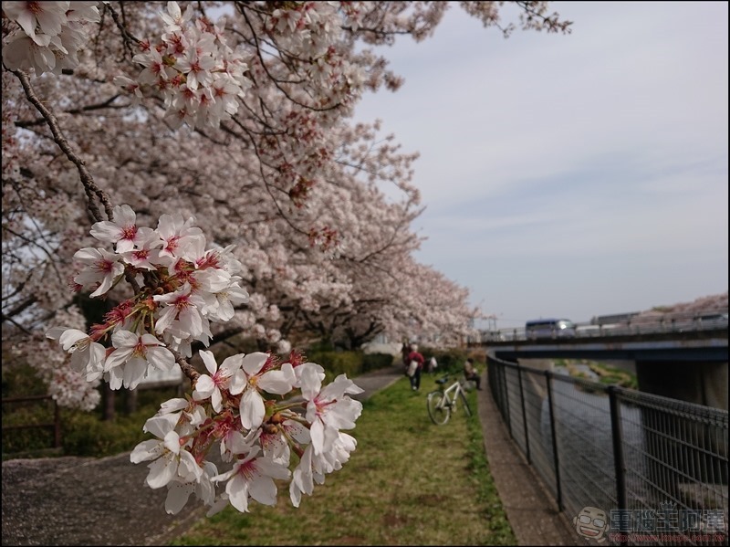 nEO_IMG_根川綠道 (20)