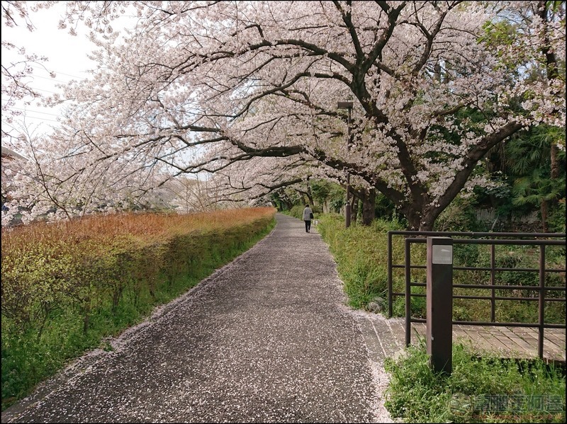 nEO_IMG_根川綠道 (21)