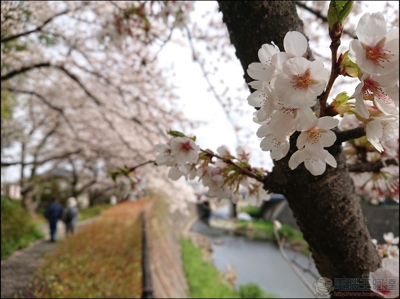 nEO_IMG_根川綠道 (23)