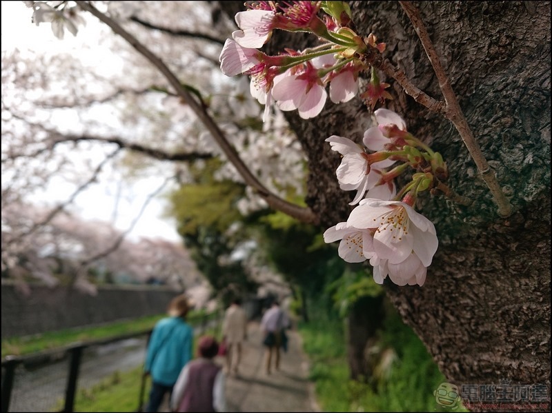 nEO_IMG_根川綠道 (24)