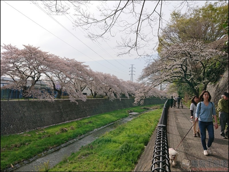 nEO_IMG_根川綠道 (25)