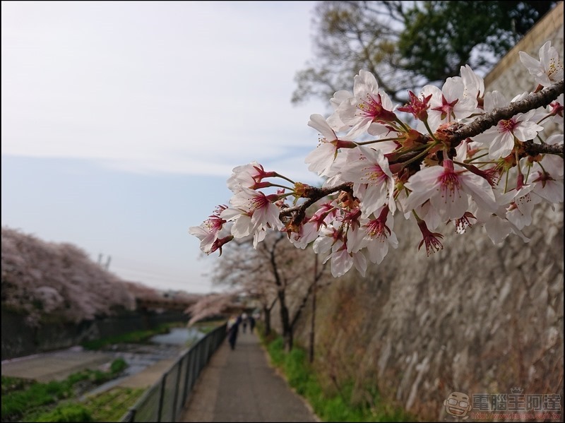 nEO_IMG_根川綠道 (26)