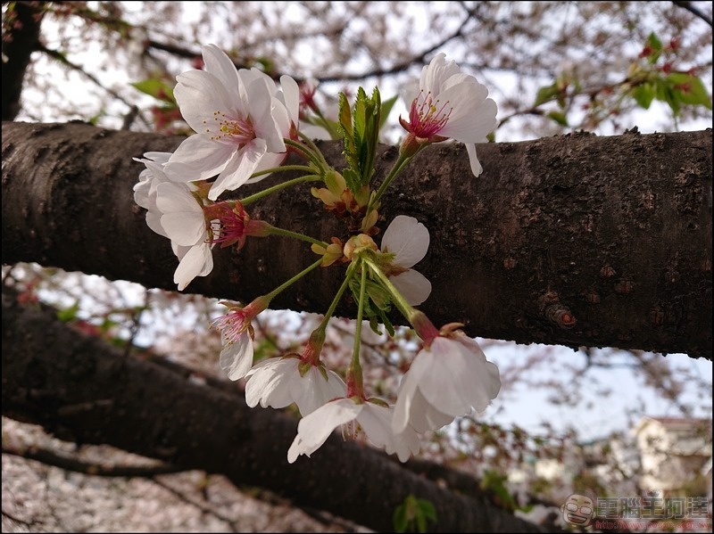 nEO_IMG_根川綠道 (27)