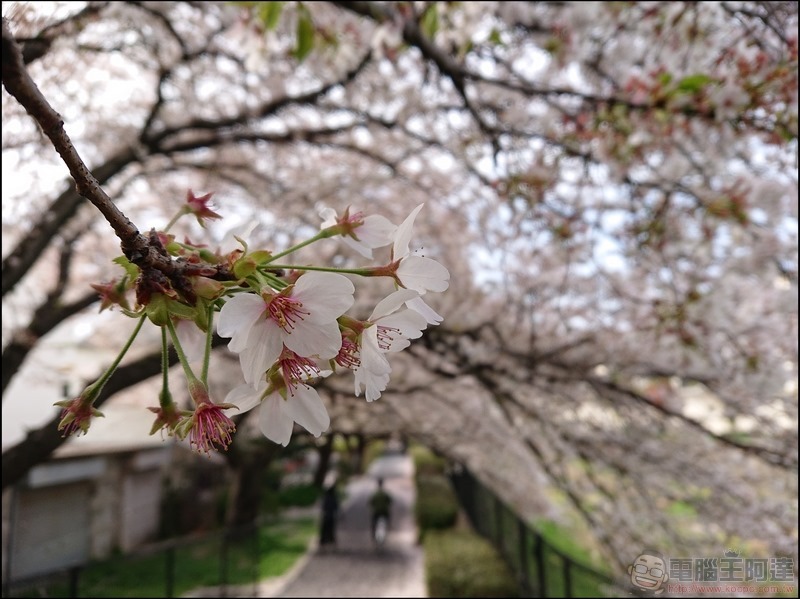 nEO_IMG_根川綠道 (29)