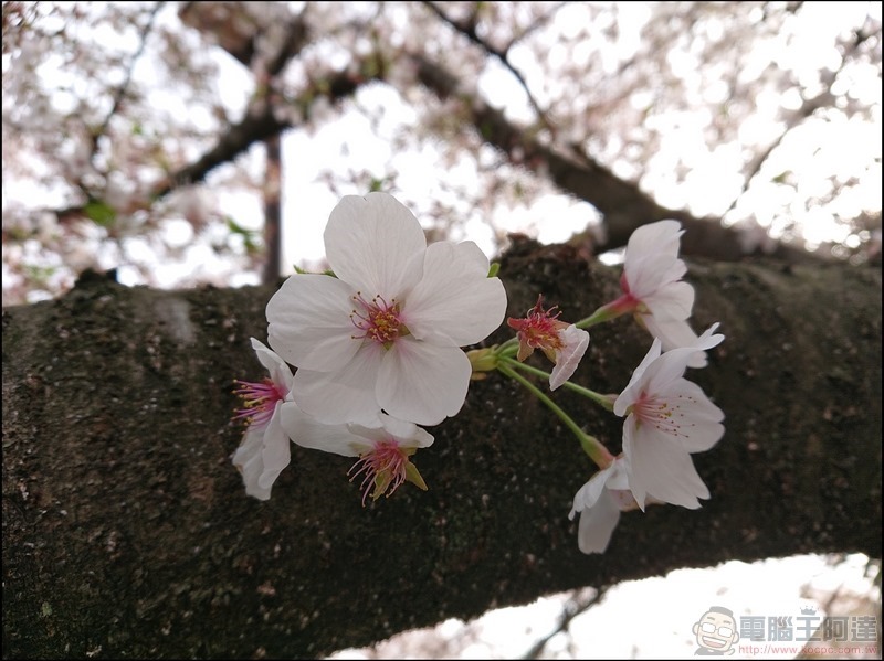 nEO_IMG_根川綠道 (30)