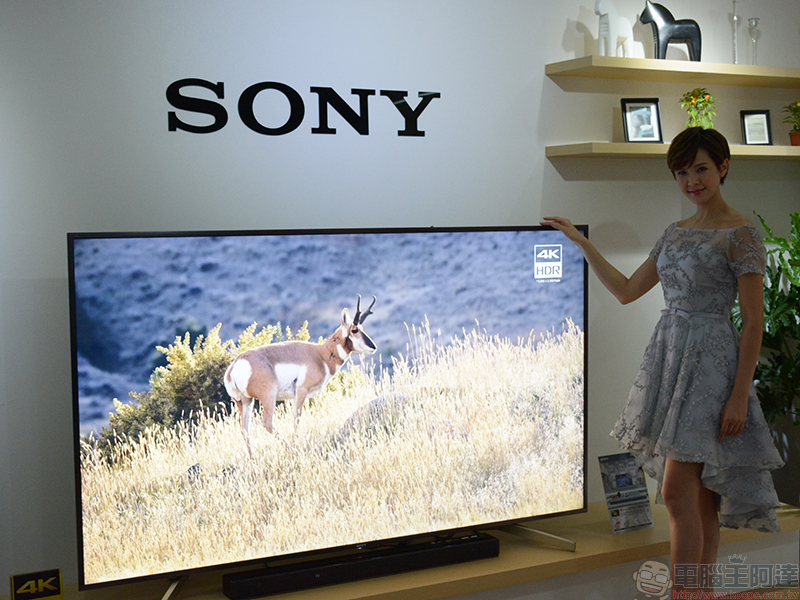 期間限定綠化建築 Sony BRAVIA House 開幕，以日系美學打造理想影音體驗 - 電腦王阿達