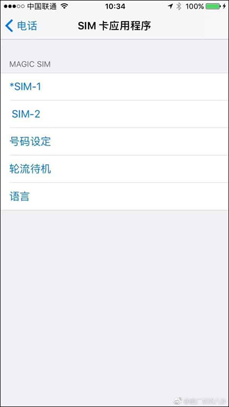 iPhone 6.1 吋 傳將支援雙卡雙待 網路流傳設定截圖 - 電腦王阿達