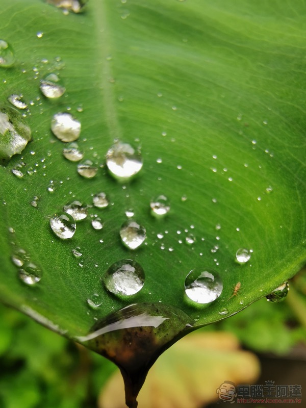 華為 Mate20 Pro 開箱 評測 、評價：「智在超越」的行動攝影之王 - 電腦王阿達