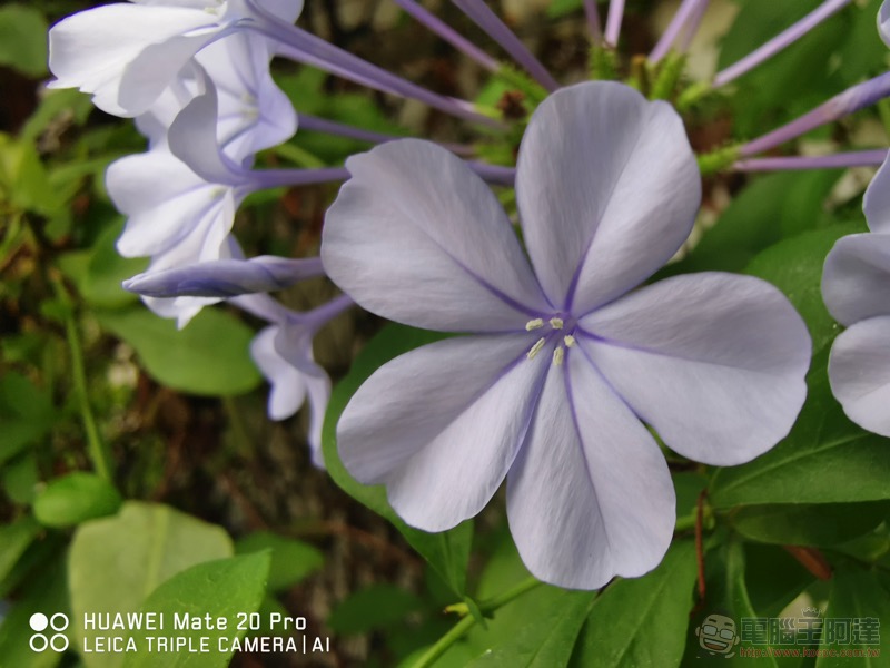 華為 Mate20 Pro 開箱 評測 、評價：「智在超越」的行動攝影之王 - 電腦王阿達