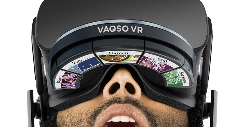  VAQSO VR 