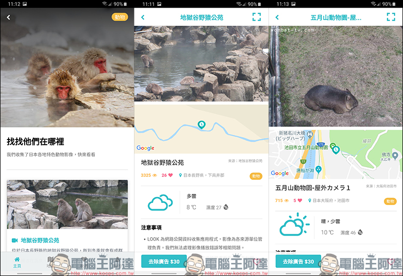 LOOK 即時影像 App ：免費查看景點、路況、天氣即時畫面，還可遠端日本賞櫻、雪景、可愛動物！ - 電腦王阿達