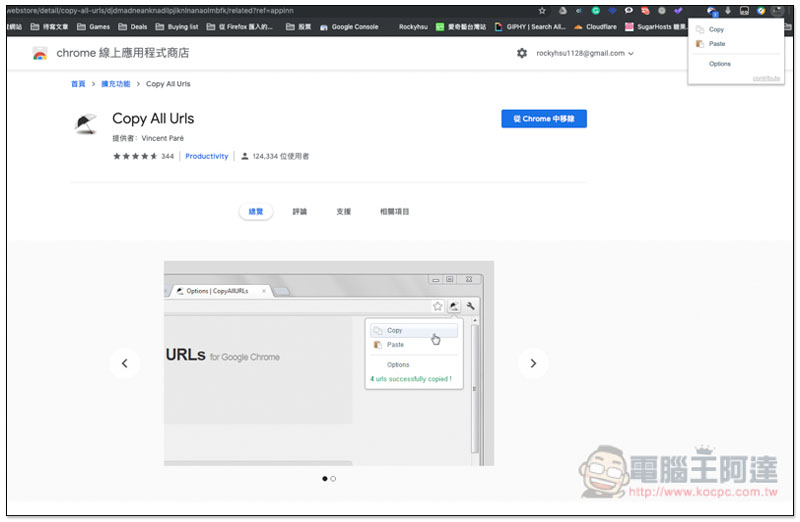 Copy All Urls ,螢幕快照 2019 05 10 下午4 30 22