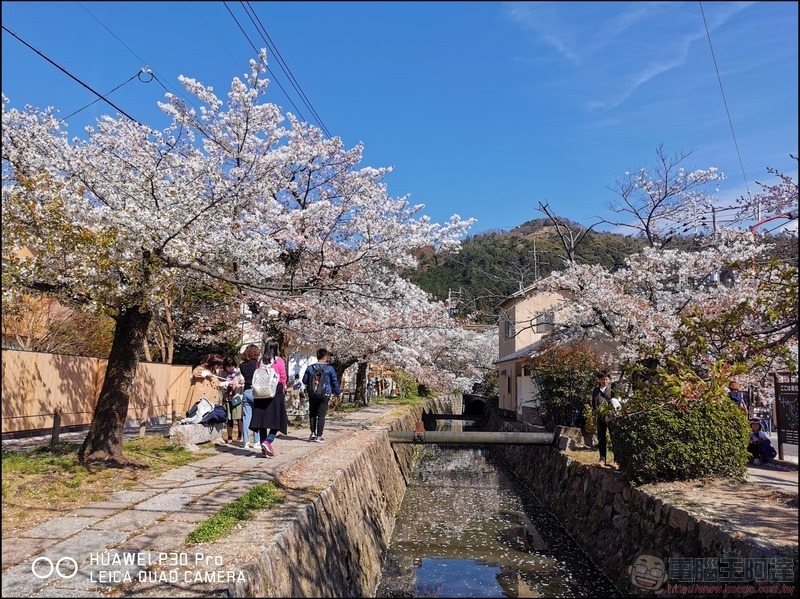 HUAWEI P30 Pro 京都大阪賞櫻隨手拍 - 05