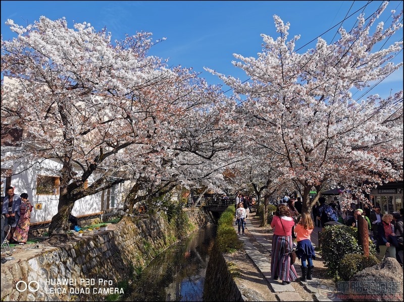 HUAWEI P30 Pro 京都大阪賞櫻隨手拍 - 06