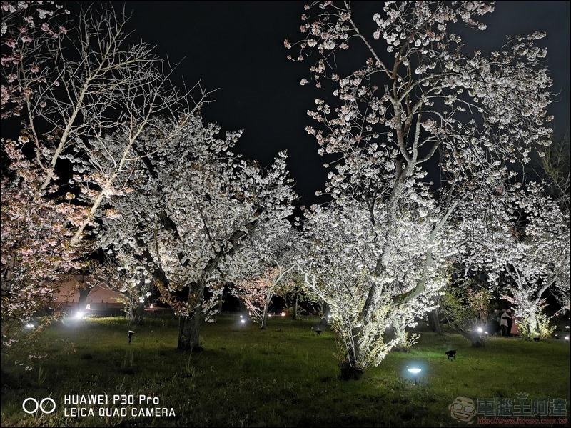 HUAWEI P30 Pro 京都大阪賞櫻隨手拍 - 35