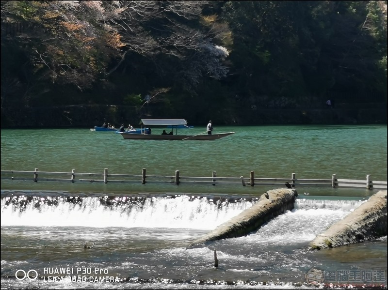 HUAWEI P30 Pro 京都大阪賞櫻隨手拍 - 42