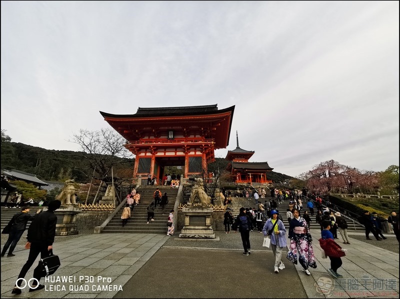 HUAWEI P30 Pro 京都大阪賞櫻隨手拍 - 48