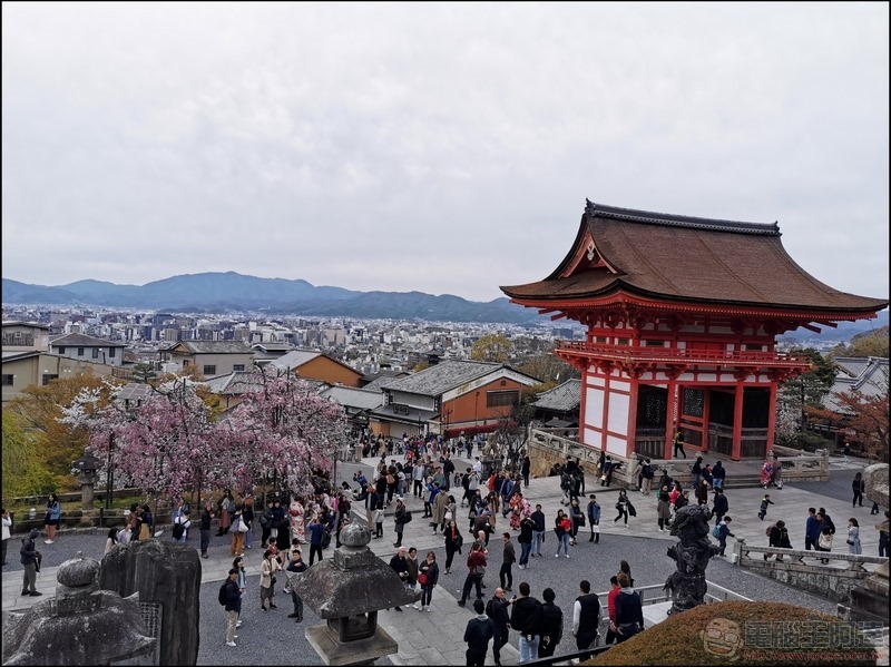 HUAWEI P30 Pro 京都大阪賞櫻隨手拍 - 60