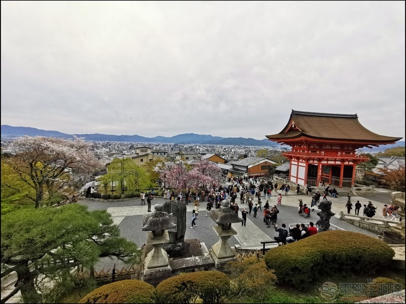 HUAWEI P30 Pro 京都大阪賞櫻隨手拍 - 61