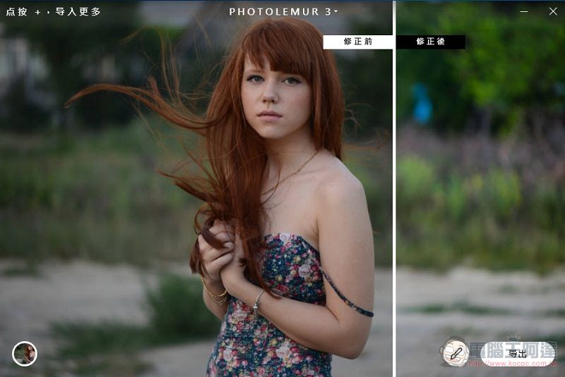 原價1080元「 Photolemur 3 」修圖軟體 限時免費下載 - 電腦王阿達