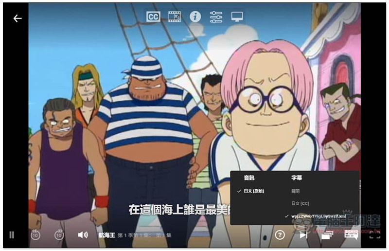 Netflix 外掛字幕 ,2020-05-18_093633