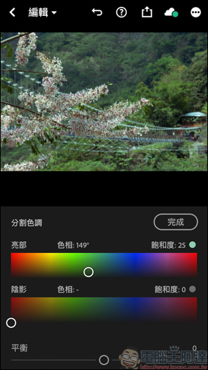 創造屬於你的濾鏡樣式，Adobe Lightroom手機版分割色調簡易教學 - 電腦王阿達