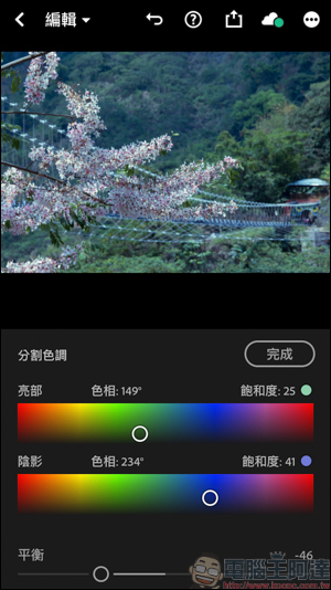 創造屬於你的濾鏡樣式，Adobe Lightroom手機版分割色調簡易教學 - 電腦王阿達