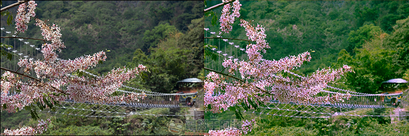 創造屬於你的濾鏡樣式，Adobe Lightroom手機版分割色調簡易教學 - 電腦王阿達